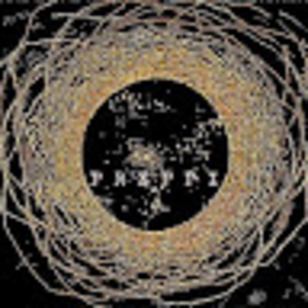 Meet your Posher, Preppi